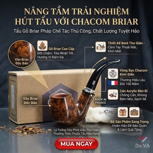 Gỗ thạch nam chính hãng Chacom 869