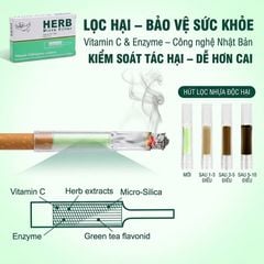 Tẩu lọc bông Herb micro filter