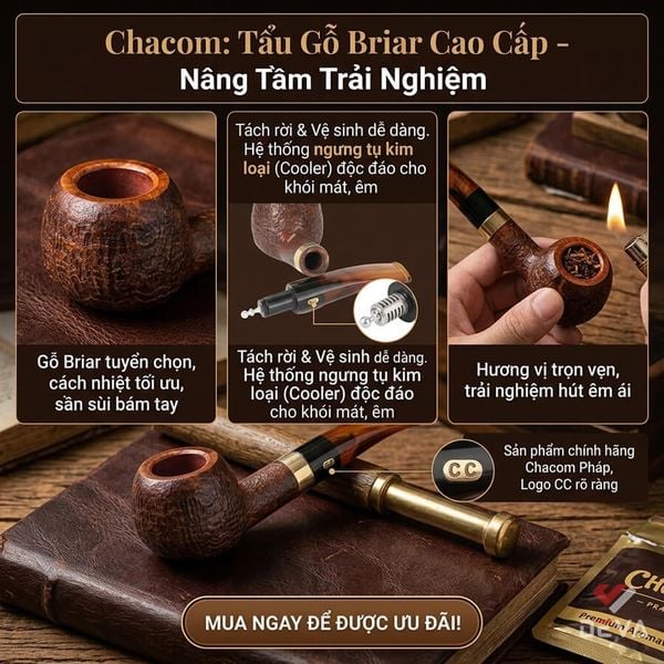 Tẩu gỗ Chacom Churchill SB N862