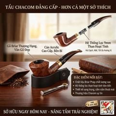 Tẩu gỗ Chacom Churchill 266
