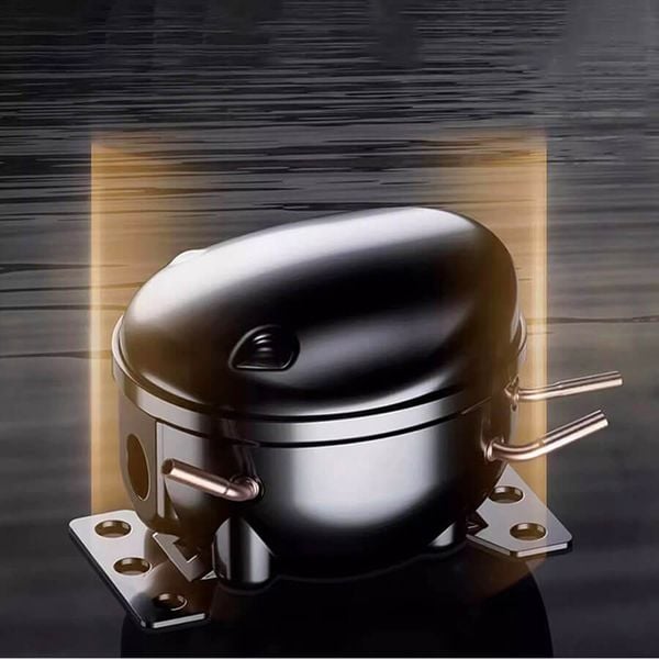 Tủ bảo quản cigar Lubinski  350 điếu RA 559