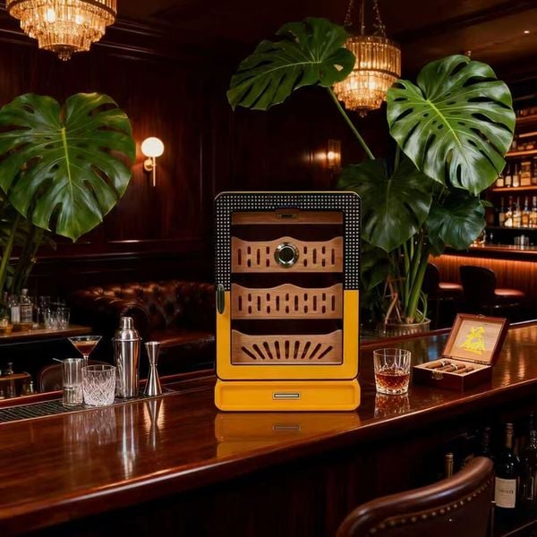 Hộp Giữ Ẩm Xì Gà Gỗ Tuyết Tùng Cao Cấp Có Kính 60013