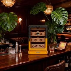 Hộp Giữ Ẩm Xì Gà Gỗ Tuyết Tùng Cao Cấp Có Kính 60013