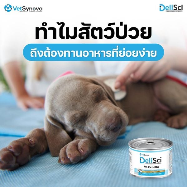 Pate Dinh Dưỡng DeliSci Excella cho Chó 185g