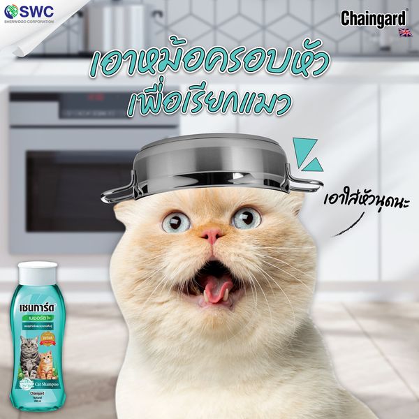 Dầu tắm Chaingard Natural cho Mèo (Cat)