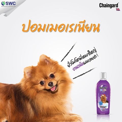 Dầu tắm Chaingard Complete cho Chó (Long Hair)