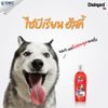 Dầu tắm Chaingard Complete cho Chó (Smelly Hair)