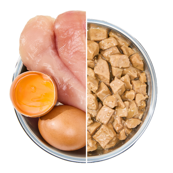 Pate PAWTA Lon cho Cún (Vị Thịt Gà & Trứng)