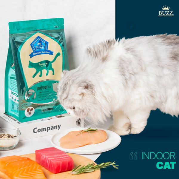 Thức ăn hạt BUZZ Premium cho mèo (Indoor)