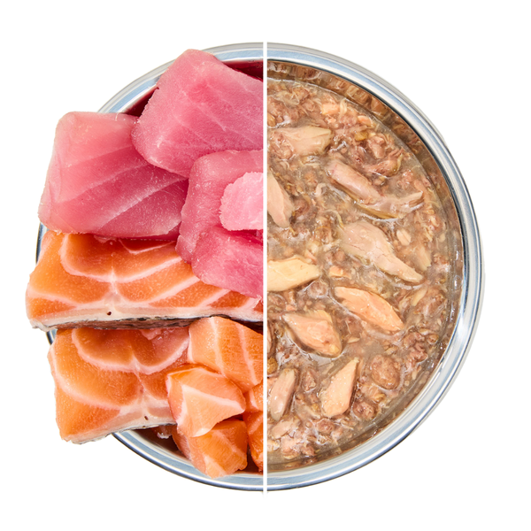 Pate PAWTA Lon cho Mèo (Vị Cá Ngừ & Cá Hồi)