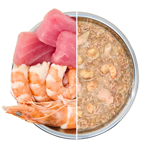 Pate PAWTA Lon cho Mèo (Vị Cá Ngừ & Tôm)