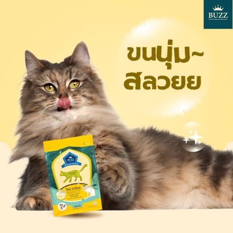 Thức ăn hạt BUZZ Premium cho mèo (Hair & Skin)