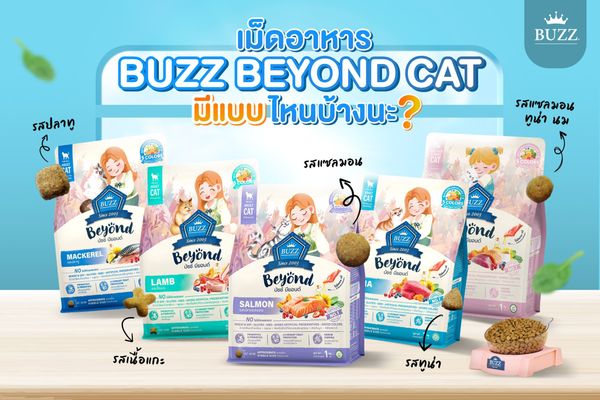 Thức ăn hạt BUZZ Beyond cho Mèo (Vị Cá Thu)