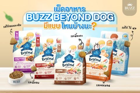 Thức ăn hạt BUZZ Beyond cho Chó (Vị Thịt Cừu)
