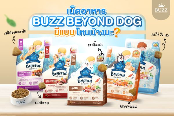 Thức ăn hạt BUZZ Beyond cho Cún (Vị Gà, Trứng & Sữa)