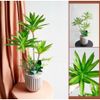 Cây giả - Cây thuỷ trúc cao cấp 1 nhánh và 3 nhánh - Chất liệu vải phủ bóng - Decor Trang trí nhà cửa