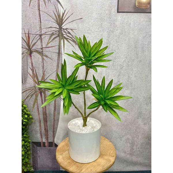 Cây giả - Cây thuỷ trúc cao cấp 1 nhánh và 3 nhánh - Chất liệu vải phủ bóng - Decor Trang trí nhà cửa