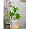 Cây giả - Cây thuỷ trúc cao cấp 1 nhánh và 3 nhánh - Chất liệu vải phủ bóng - Decor Trang trí nhà cửa
