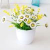 Hoa giả - Chậu hoa cúc xu để bàn - Decor nội thất, Trang trí nhà cửa cực đẹp