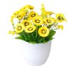 Hoa giả - Chậu hoa cúc xu để bàn - Decor nội thất, Trang trí nhà cửa cực đẹp