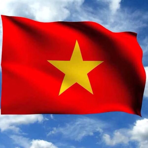 Cờ đỏ Sao Vàng- Lá cờ Tổ Quốc, dây cờ sao vàng in 2 mặt - Chất liệu vải phi bóng - Decor Trang trí lễ kỉ niệm, lễ hội