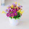 Hoa giả - Chậu hoa cúc xu để bàn - Decor nội thất, Trang trí nhà cửa cực đẹp