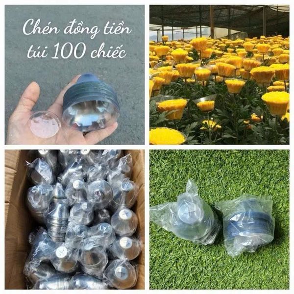 100 chiếc chén đỡ hoa nhựa - Chụp đỡ hoa đồng tiền, Định hình cuống hoa - Giữ cuống hoa không gãy - Phụ Kiện Hoa Tươi