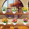 Hoa giả - Chậu hoa cúc xu để bàn - Decor nội thất, Trang trí nhà cửa cực đẹp