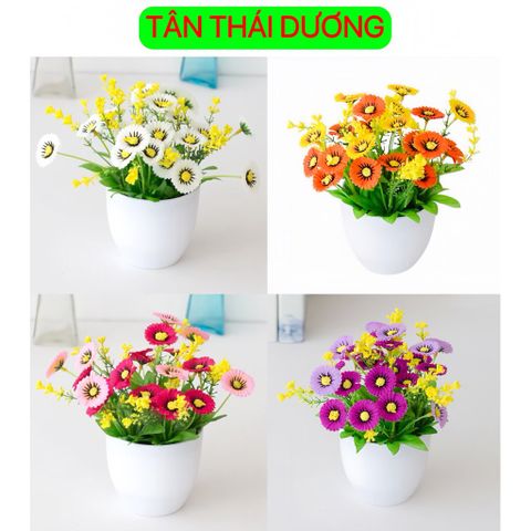 Hoa giả - Chậu hoa cúc xu để bàn - Decor nội thất, Trang trí nhà cửa cực đẹp
