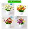 Hoa giả - Chậu hoa cúc xu để bàn - Decor nội thất, Trang trí nhà cửa cực đẹp