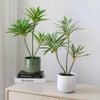 Cây giả - Cây thuỷ trúc cao cấp 1 nhánh và 3 nhánh - Chất liệu vải phủ bóng - Decor Trang trí nhà cửa