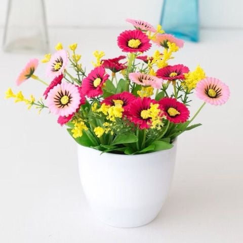 Hoa giả - Chậu hoa cúc xu để bàn - Decor nội thất, Trang trí nhà cửa cực đẹp
