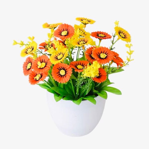Hoa giả - Chậu hoa cúc xu để bàn - Decor nội thất, Trang trí nhà cửa cực đẹp