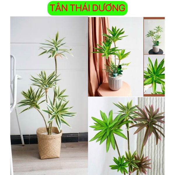 Cây giả - Cây thuỷ trúc cao cấp 1 nhánh và 3 nhánh - Chất liệu vải phủ bóng - Decor Trang trí nhà cửa
