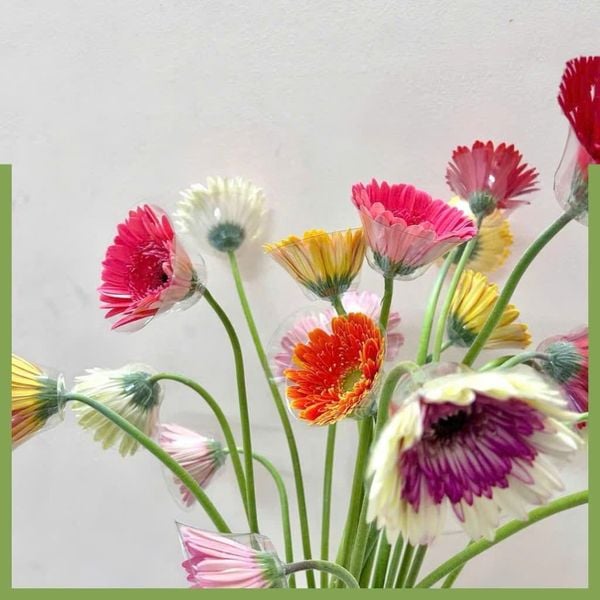 100 chiếc chén đỡ hoa nhựa - Chụp đỡ hoa đồng tiền, Định hình cuống hoa - Giữ cuống hoa không gãy - Phụ Kiện Hoa Tươi
