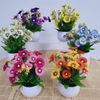 Hoa giả - Chậu hoa cúc xu để bàn - Decor nội thất, Trang trí nhà cửa cực đẹp