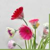 100 chiếc chén đỡ hoa nhựa - Chụp đỡ hoa đồng tiền, Định hình cuống hoa - Giữ cuống hoa không gãy - Phụ Kiện Hoa Tươi