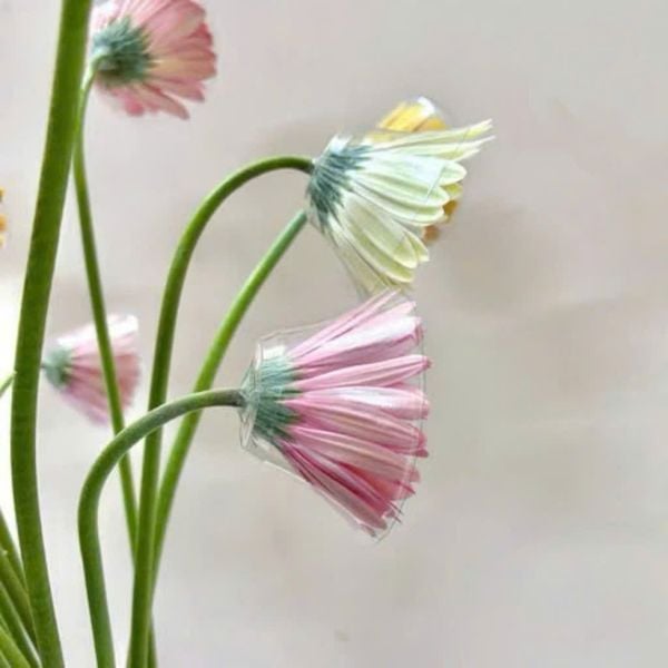 100 chiếc chén đỡ hoa nhựa - Chụp đỡ hoa đồng tiền, Định hình cuống hoa - Giữ cuống hoa không gãy - Phụ Kiện Hoa Tươi
