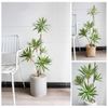 Cây giả - Cây thuỷ trúc cao cấp 1 nhánh và 3 nhánh - Chất liệu vải phủ bóng - Decor Trang trí nhà cửa