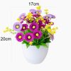Hoa giả - Chậu hoa cúc xu để bàn - Decor nội thất, Trang trí nhà cửa cực đẹp