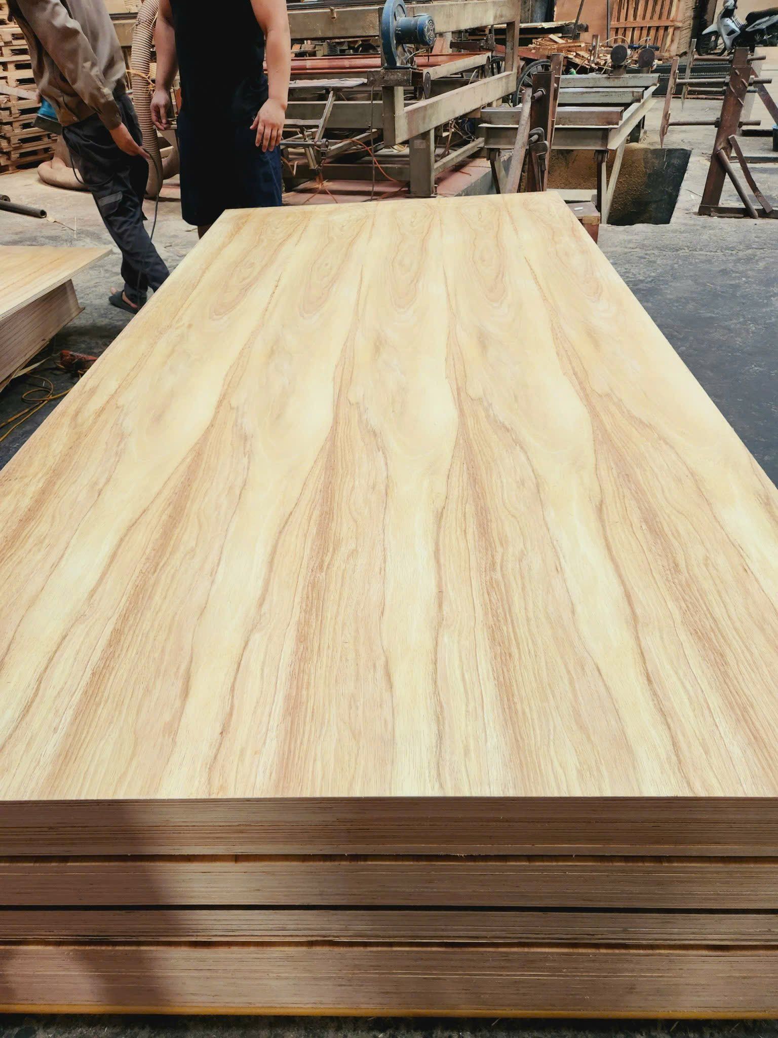  Ván phủ veneer cao cấp 