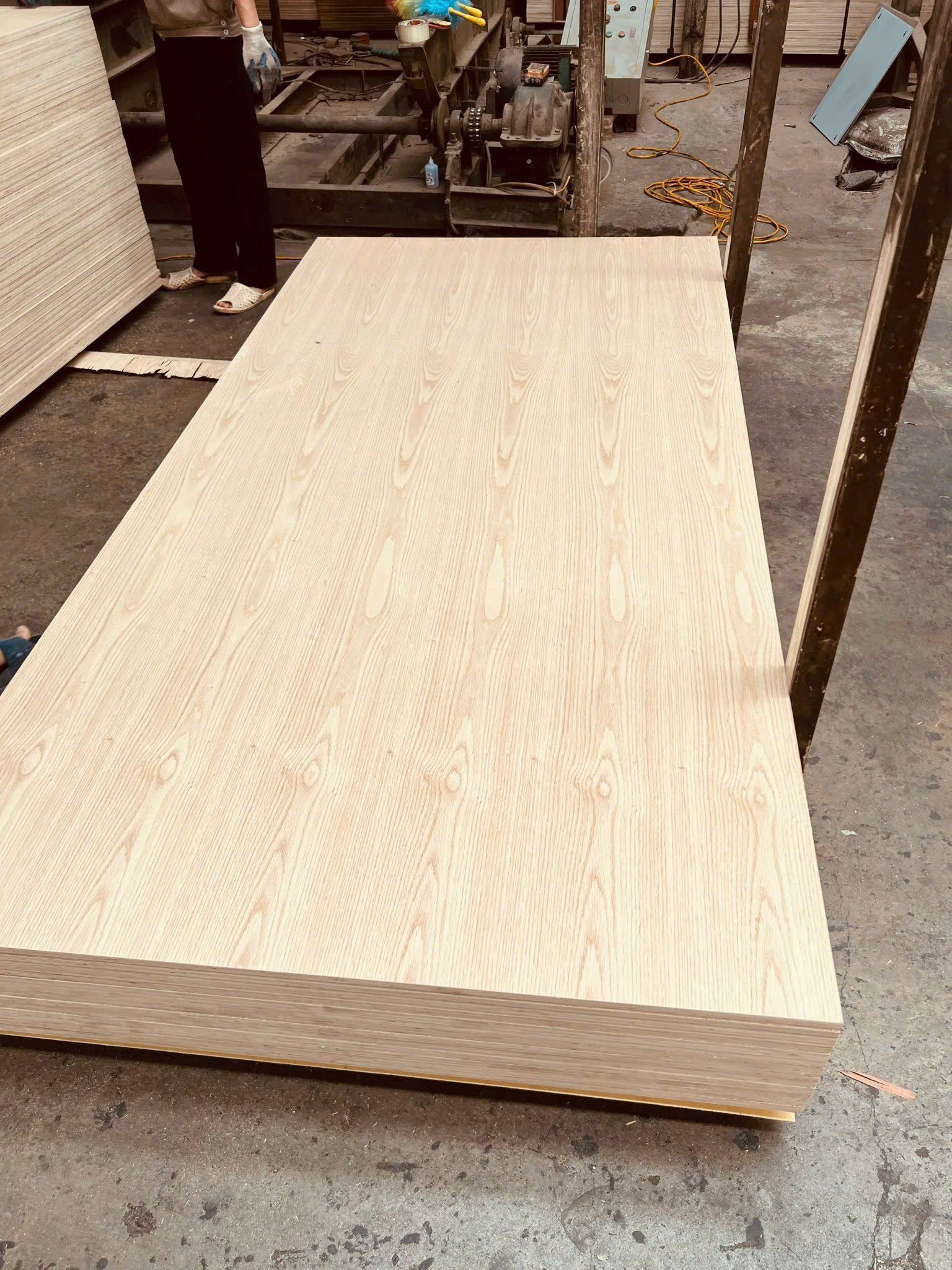  Ván phủ veneer cao cấp 