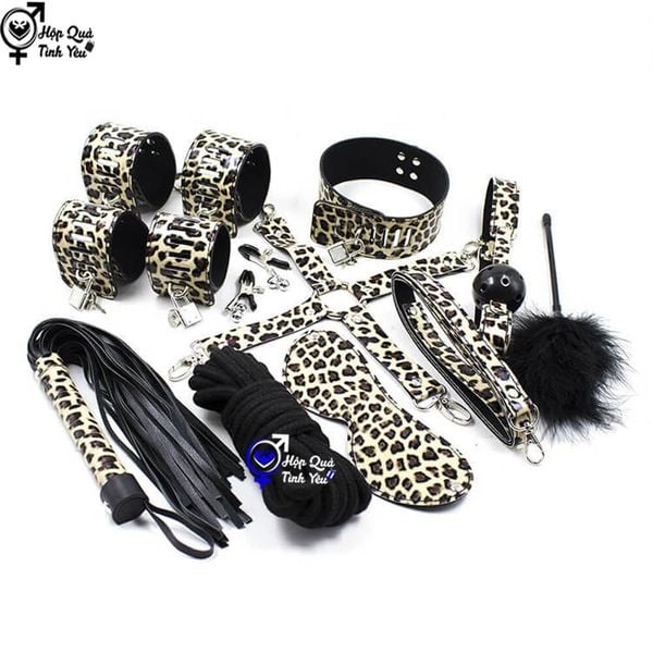  Bộ đồ chơi bạo dâm BDSM 9 món 