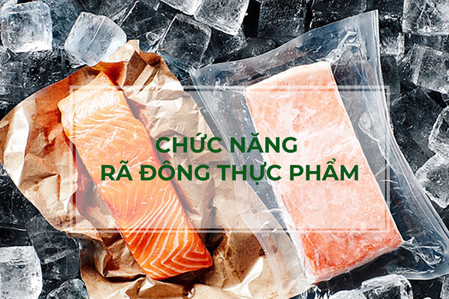 Bếp Từ Đôi Eurosun EU-T715Pro | Lắp Âm 2 Vùng Nấu