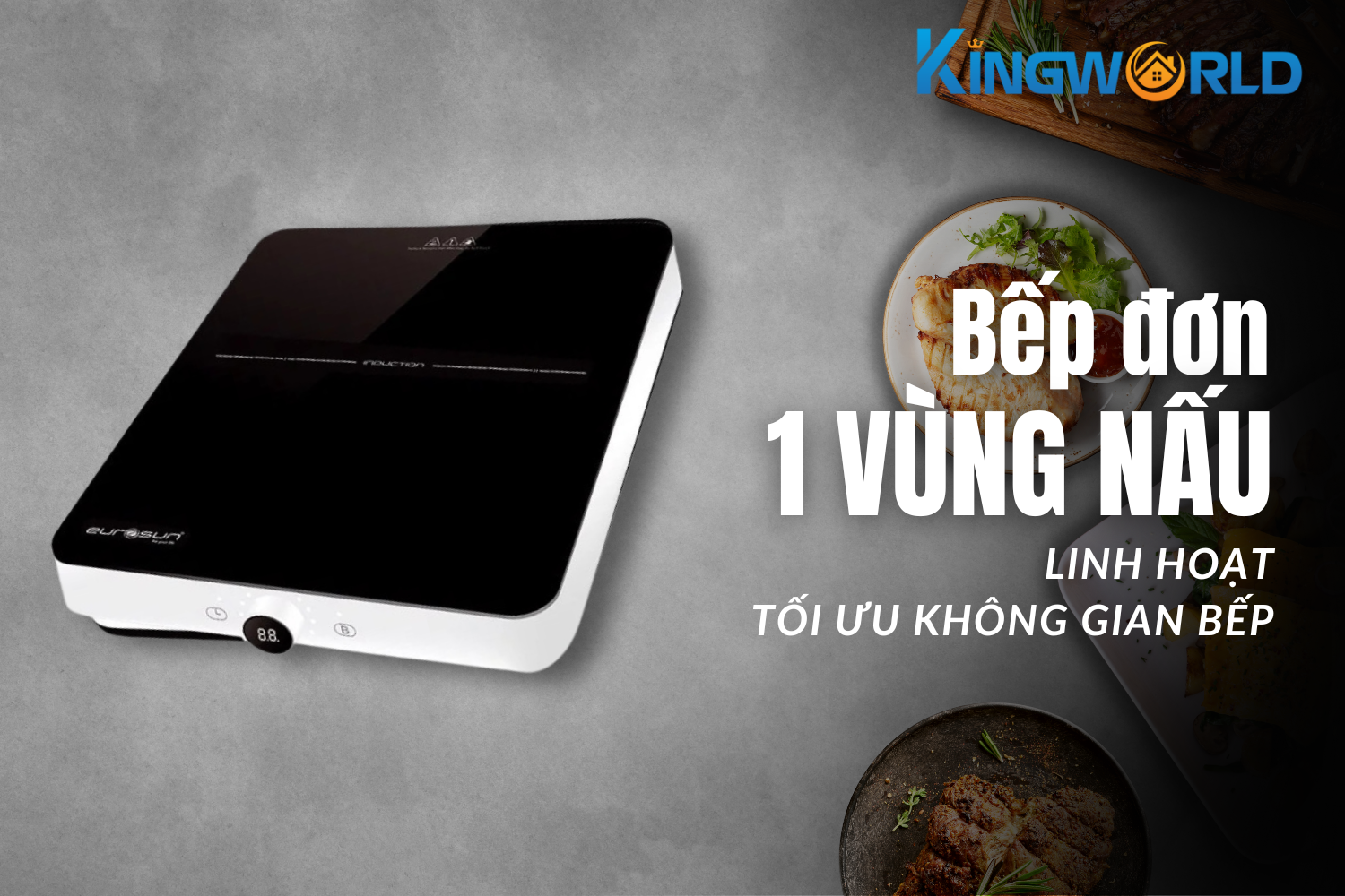 Bếp Từ Đơn Eurosun EU-T197 | Để Bàn 1 Vùng Nấu