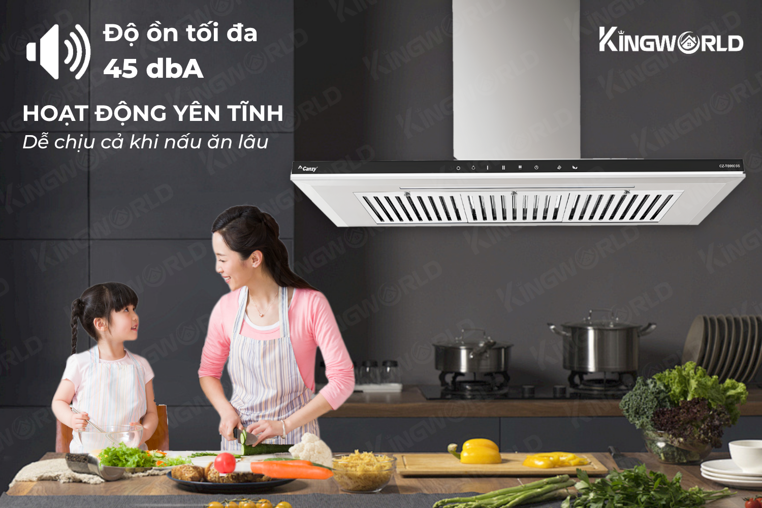 Máy hút mùi chữ T Canzy CZ TS700SS