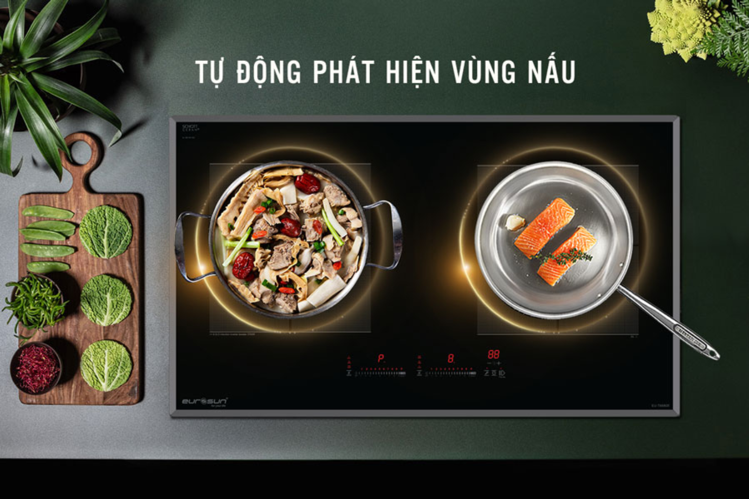 Bếp Từ Đôi Eurosun EU-T888GE (G/S) | Lắp Âm 2 Vùng Nấu