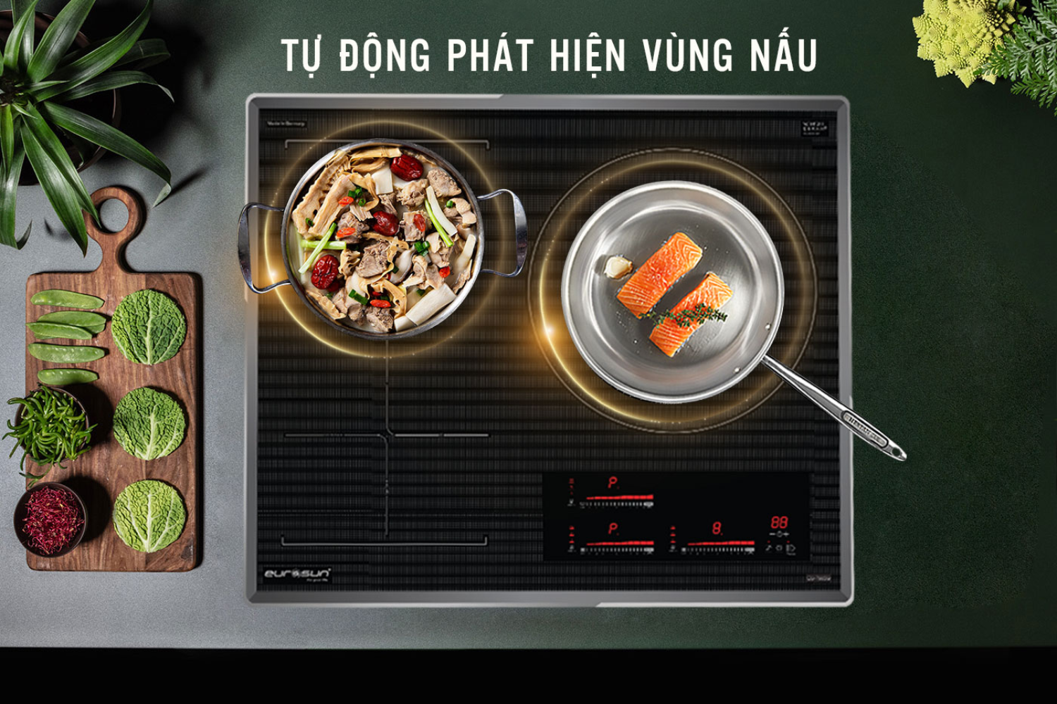 Bếp Từ Eurosun EU-T905G | Lắp Âm 3 Vùng Nấu