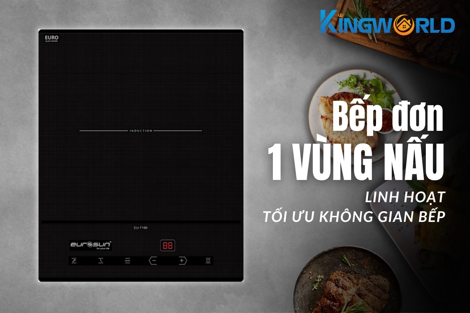 Bếp Từ Đơn Eurosun EU-T199 | Lắp Âm 1 Vùng Nấu