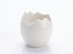 CHÉN SỨ 10X10X10CM (CRETACEOUS BROKEN EGG)